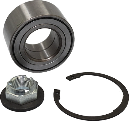 Wheel Bearing Kit (86110076)