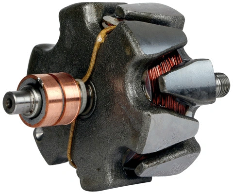 Rotor, alternator (1116437)