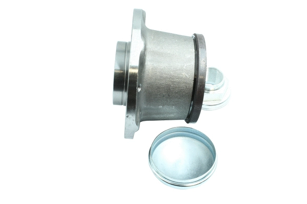 Wheel Bearing Kit (86110330)