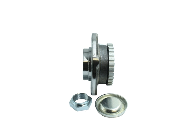 Wheel Bearing Kit (86110120)