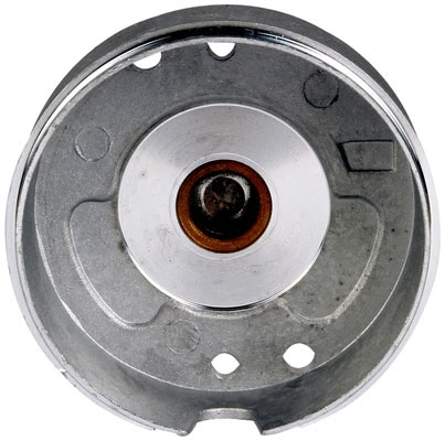 Starter Lid, carburettor (81017684)