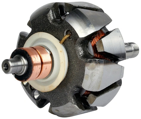 Rotor, alternator (1116180)