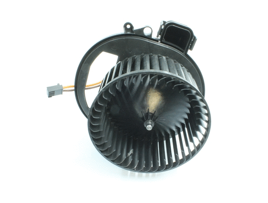 Interior Blower
