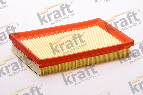 Air Filter (1713080)
