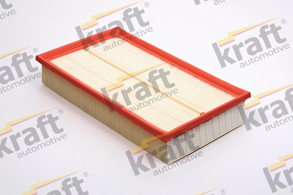 Air Filter (1711260)