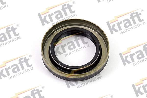 Shaft Seal, differential (1151633)