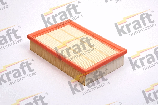 Air Filter (1714820)