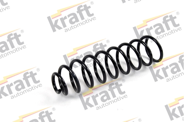Suspension Spring (4030150)