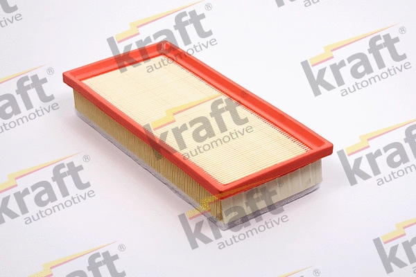 Air Filter (1716165)