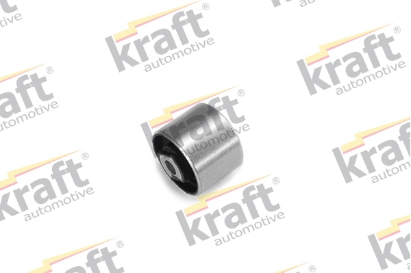 Bushing, axle beam (4230600)