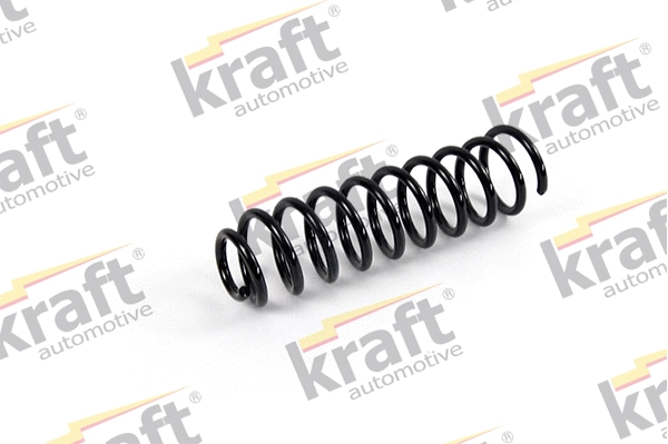 Suspension Spring (4030060)
