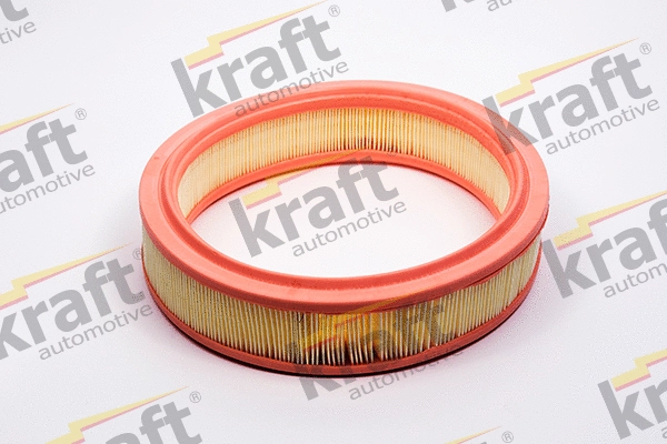 Air Filter (1713267)