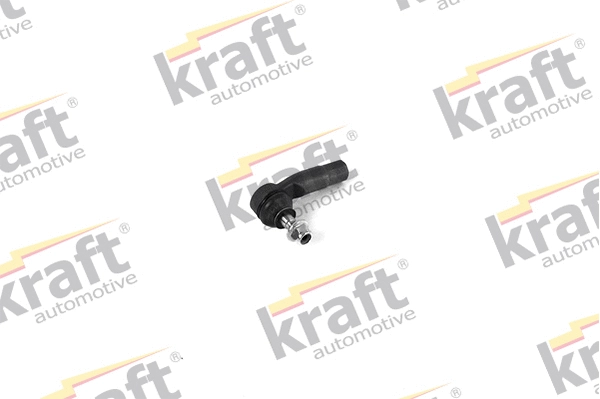 Tie Rod End (4310037)