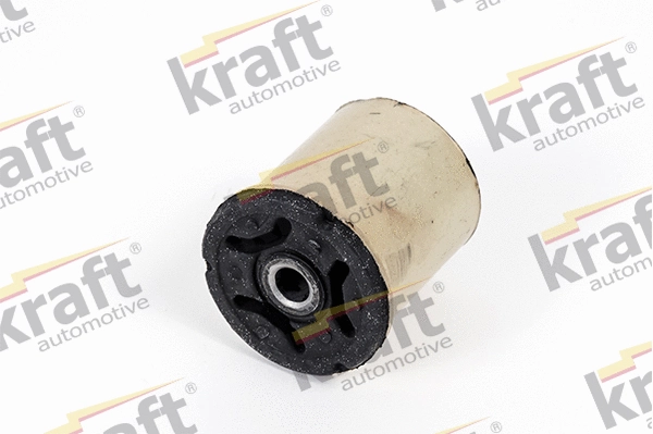 Bushing, axle beam (4231840)