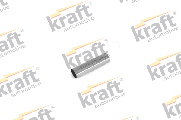 Mounting, control/trailing arm (4230187)