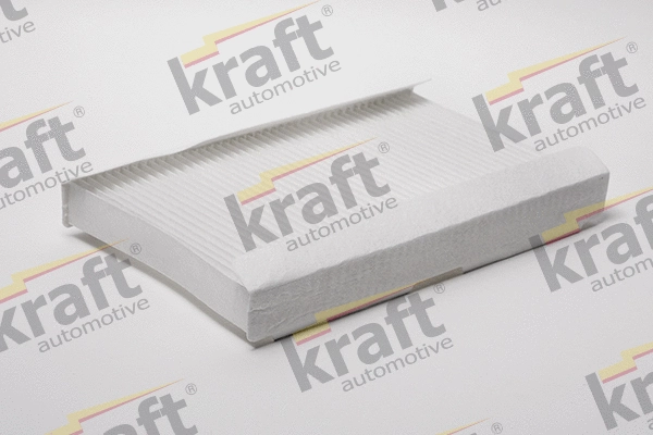 Filter, cabin air (1736000)