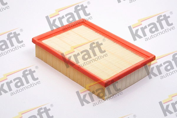 Air Filter (1714830)