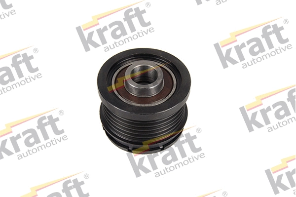 Alternator Freewheel Clutch (1228908)