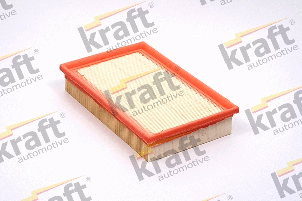 Air Filter (1711790)
