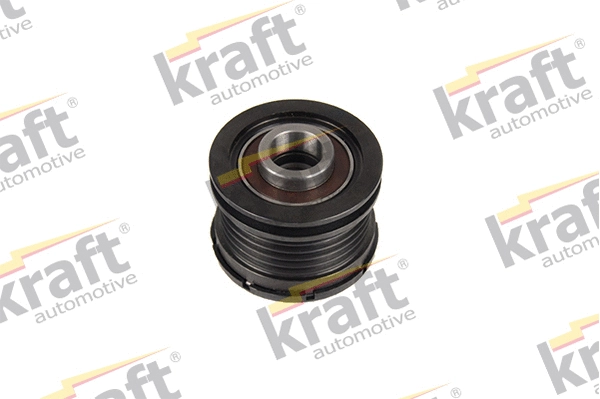 Alternator Freewheel Clutch (1221205)
