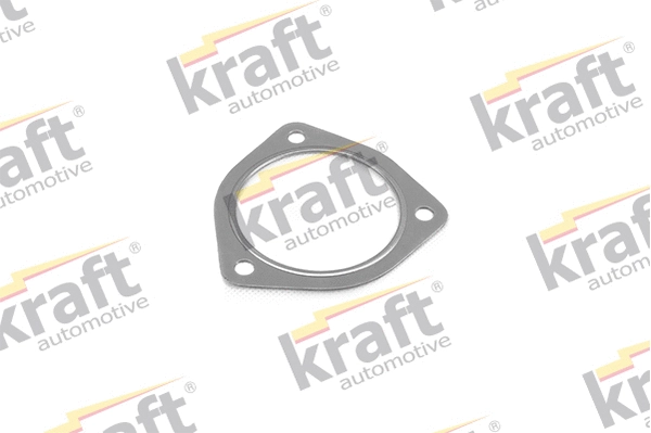Gasket, exhaust pipe (0525900)