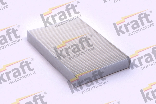 Filter, cabin air (1735050)