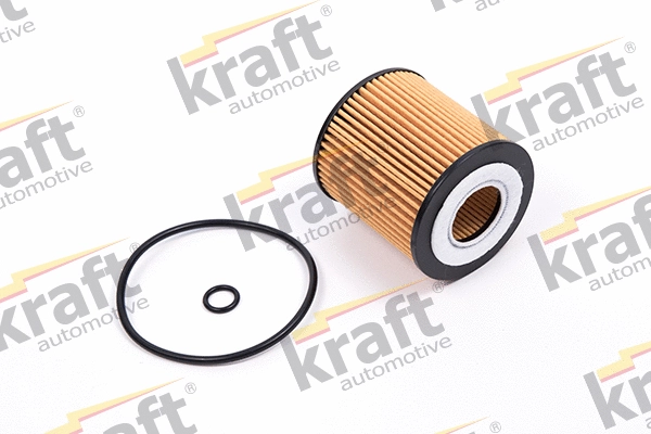 Oil Filter (1702055)