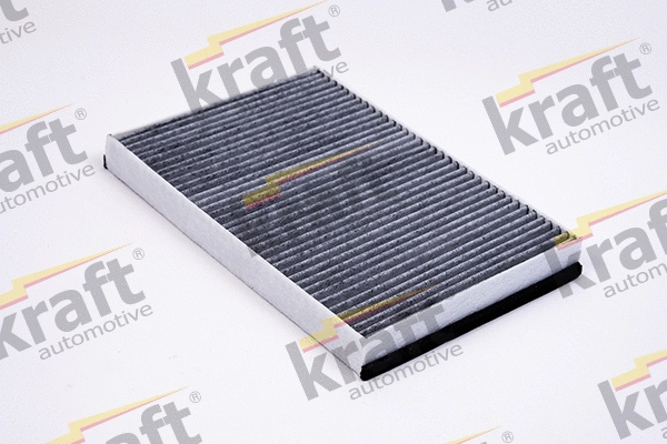 Filter, cabin air (1731504)