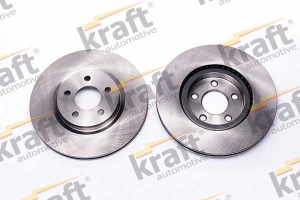 Brake Disc (6048580)
