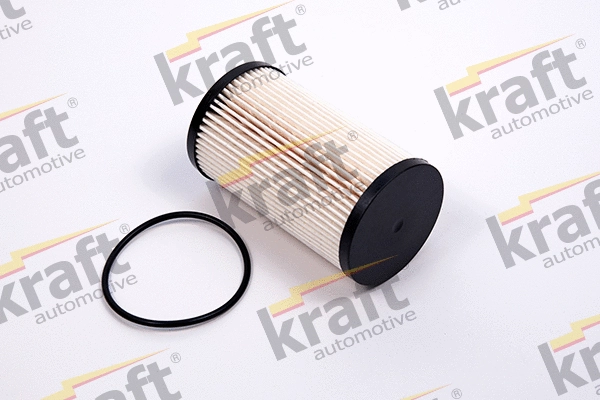 Fuel Filter (1720250)