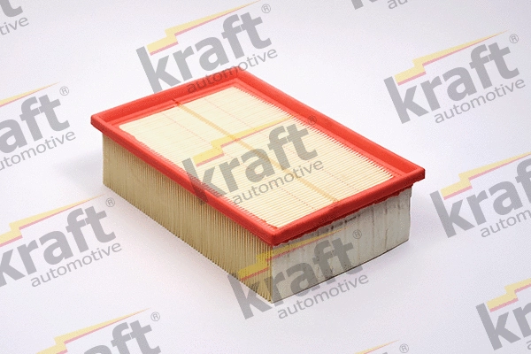Air Filter (1715690)