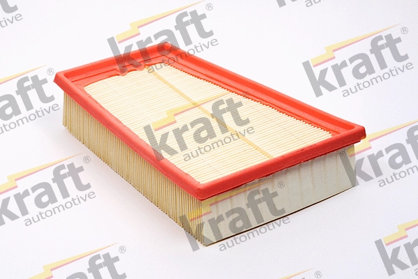 Air Filter (1715019)