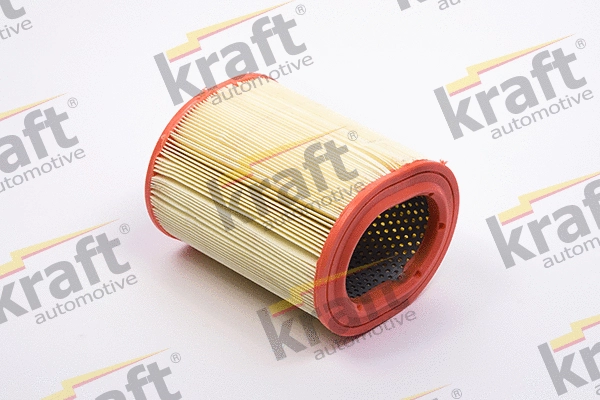 Air Filter (1715925)