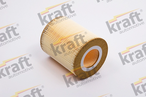 Air Filter (1711360)