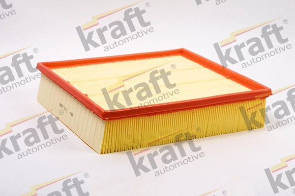 Air Filter (1711250)