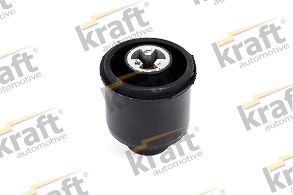 Bushing, axle beam (1490540)
