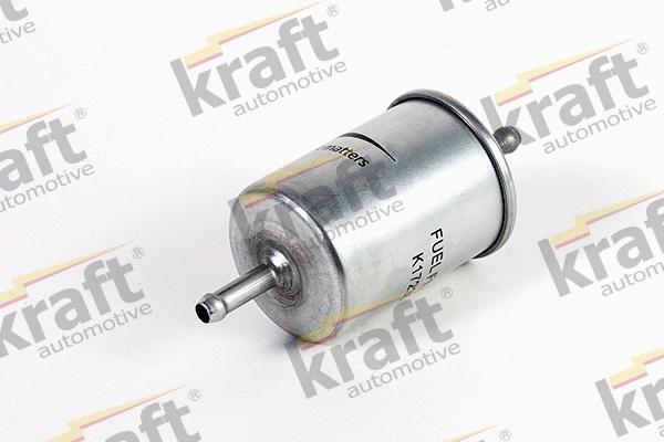 Fuel Filter (1723010)