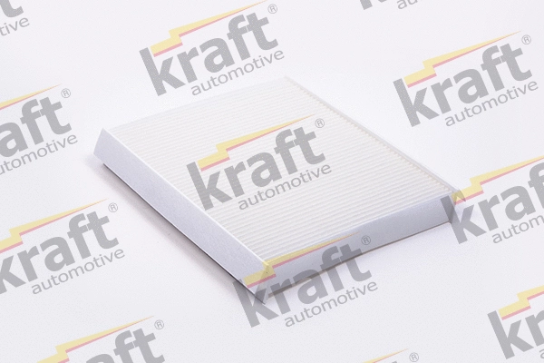 Filter, cabin air (1732080)