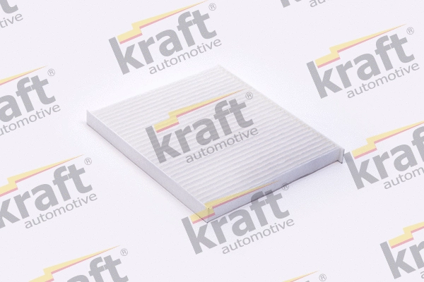 Filter, cabin air (1733250)