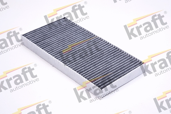 Filter, cabin air (1731516)