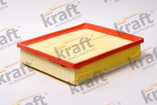 Air Filter (1711850)