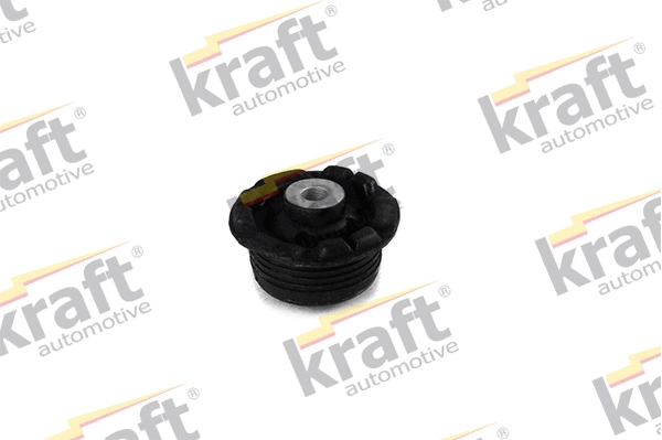 Bushing, axle beam (4231603)