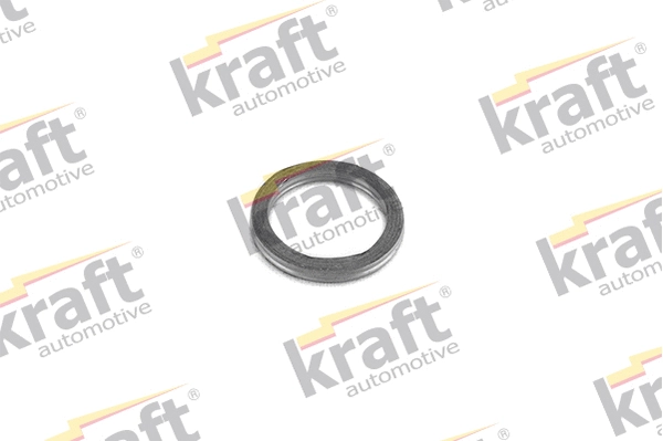 Seal Ring, exhaust pipe (0533720)