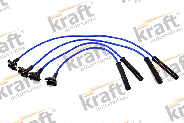 Ignition Cable Kit (9122031 SW)