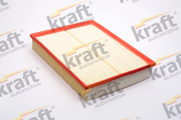 Air Filter (1711337)