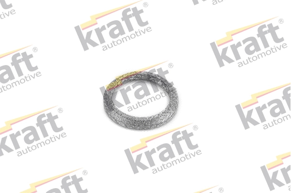 Seal Ring, exhaust pipe (0535905)