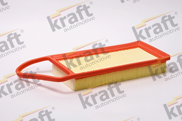 Air Filter (1716100)