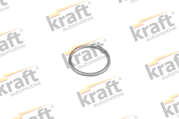 Seal Ring, exhaust pipe (0536610)