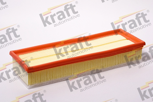 Air Filter (1716140)