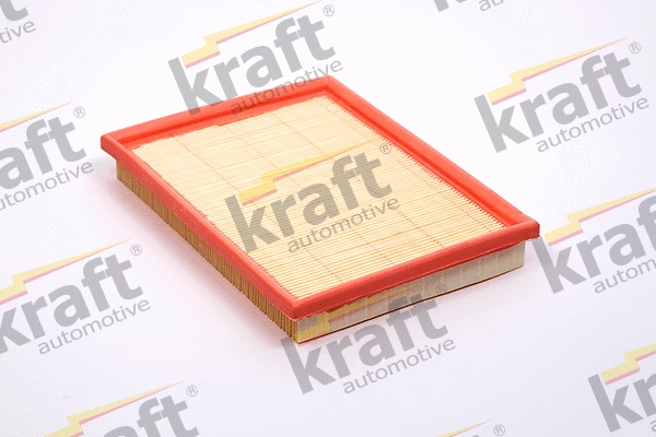Air Filter (1713320)